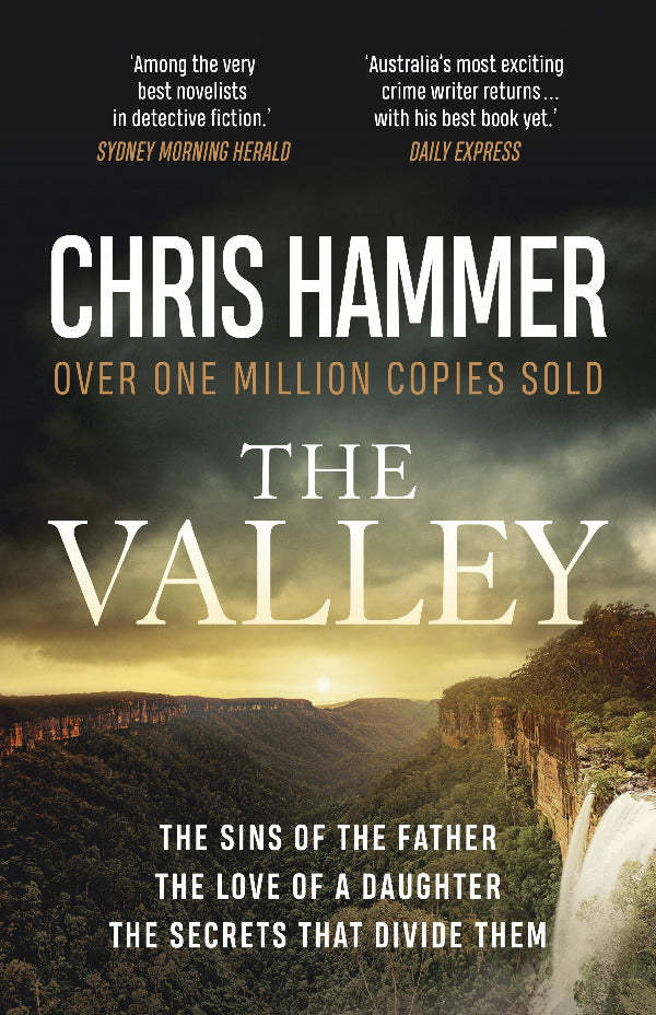 Book cover of 'The Valley' by Chris Hammer with a scenic landscape.