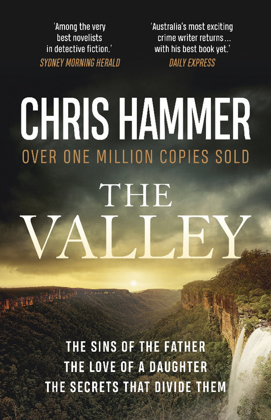 Book cover of 'The Valley' by Chris Hammer with a scenic landscape.