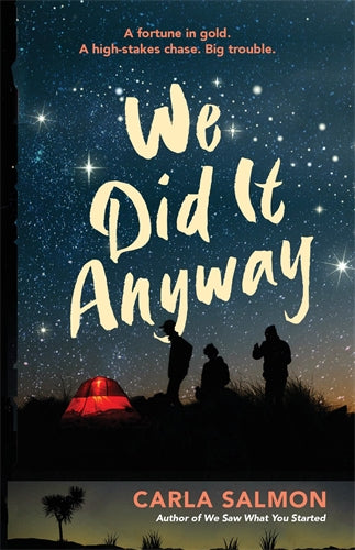 Book cover of 'We Did It Anyway' with silhouettes against a starry night sky.
