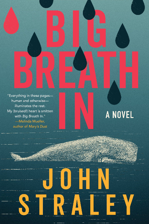 Book cover of 'Big Breath In' by John Straley with a whale illustration and raindrop graphics.