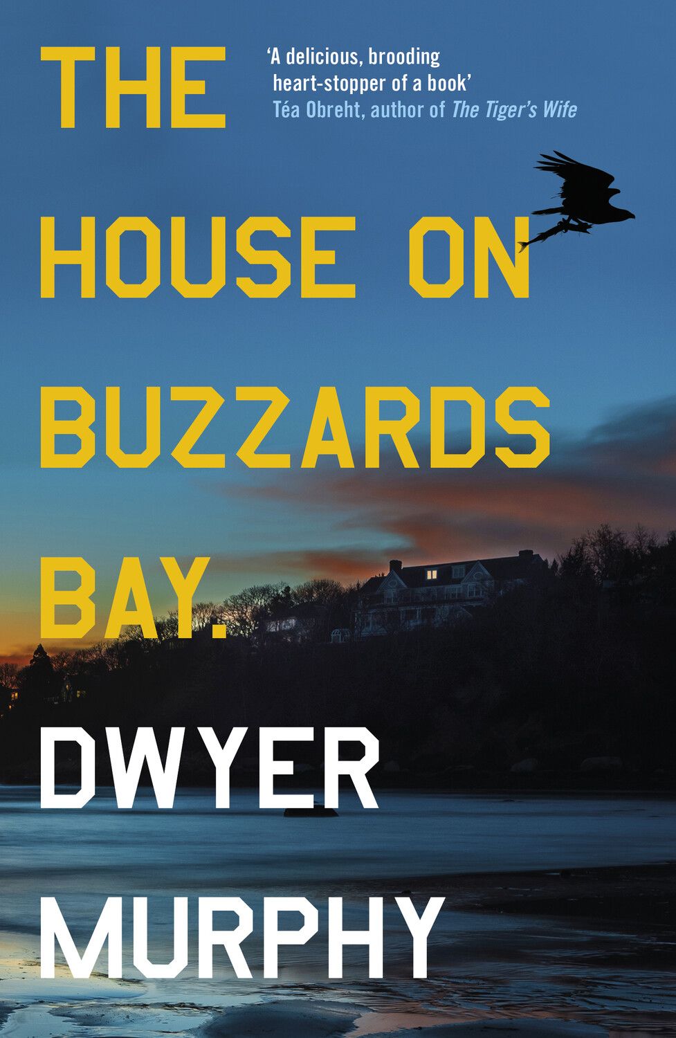 Book cover of 'The House on Buzzards Bay' by Dwyer Murphy with a silhouette of a house and bird over water.