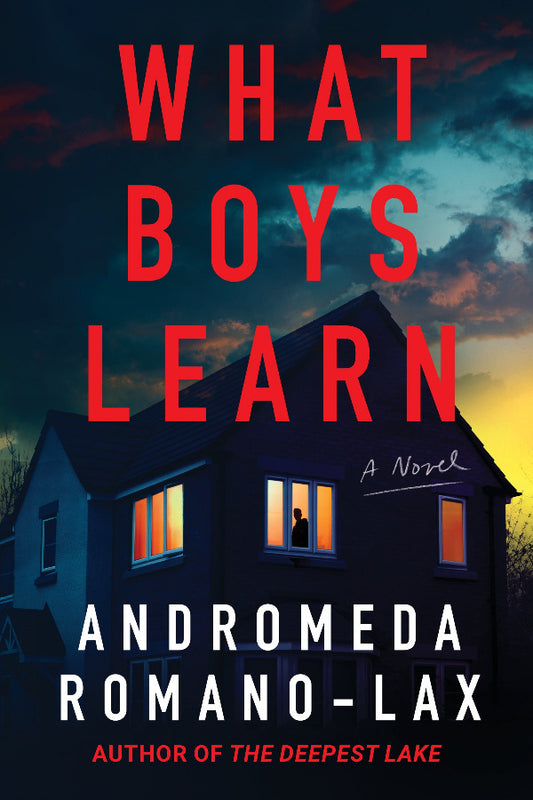 Book cover of 'What Boys Learn' by Andromeda Romano-Lax with a house silhouette and dramatic sky.